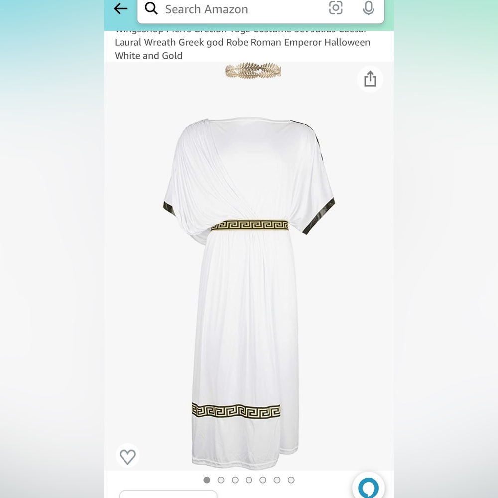 Unisex Adult Toga/ Caesar Costume